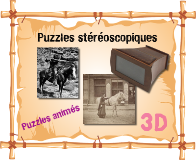 puzzles-3d-stereoscopiques.png