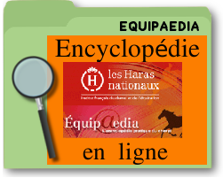 equipaediaencyclopédieenligne.png