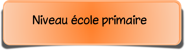 niveau école primaire.png