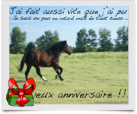 Une Soixantaine De Cartes Photos De Cheval Gratuites Avec Texte Et Cadeau Virtuel Le Blog Des Fans De Poneys Et De Chevaux