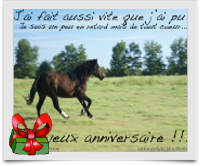 carte anniversaire cheval fille Une Soixantaine De Cartes Photos De Cheval Gratuites Avec Texte Et Cadeau Virtuel Le Blog Des Fans De Poneys Et De Chevaux carte anniversaire cheval fille