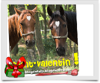 cartebonnesaintvalentinchevaux2.png