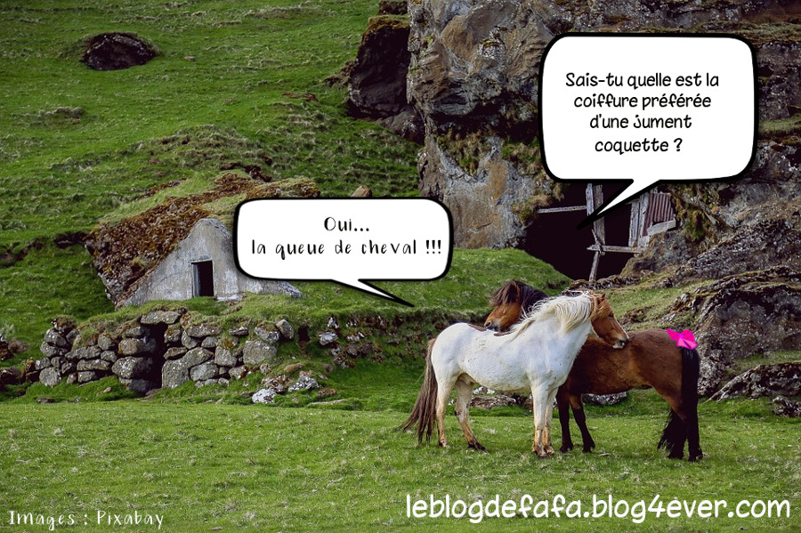 laqueuedechevalblague.jpg