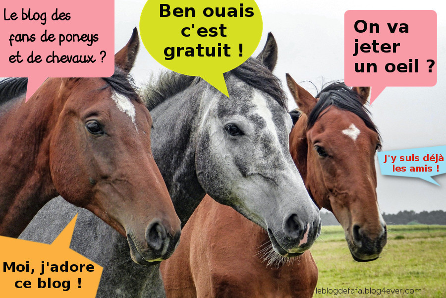 blague sur le blog des fans de poneys et de chevaux