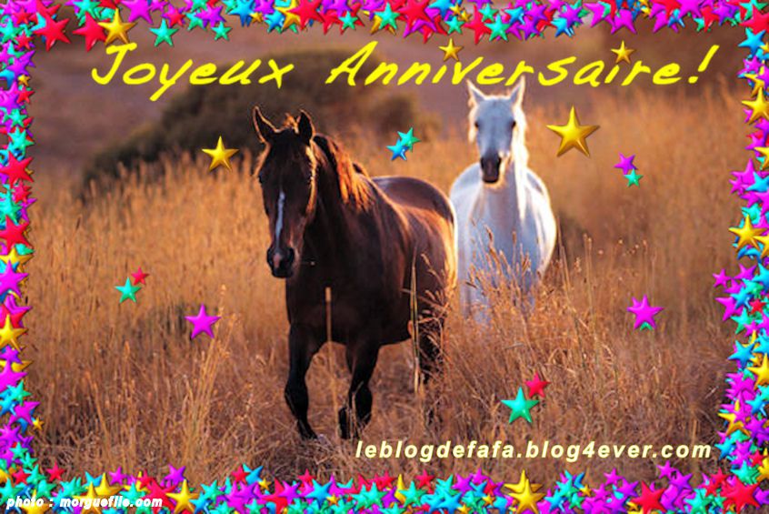 E-carte "star" anniversaire: chevaux au coucher de soleil + e-cadeau