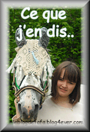 le blog des fans de poneys et de chevaux