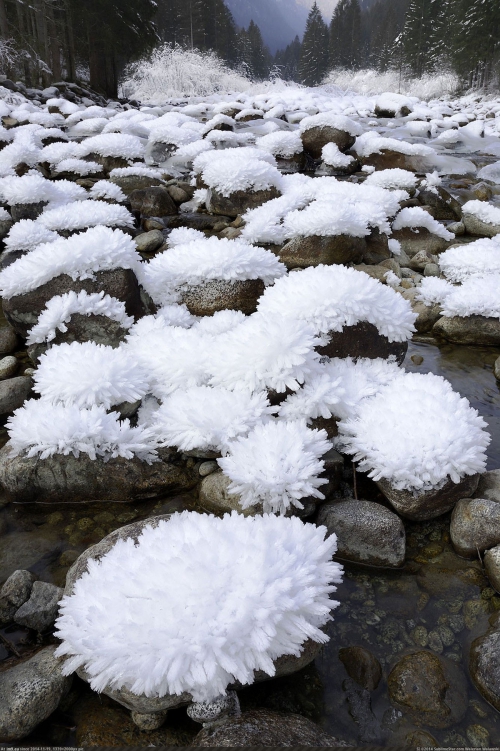 fleur-neige-torrent-rochers.jpg