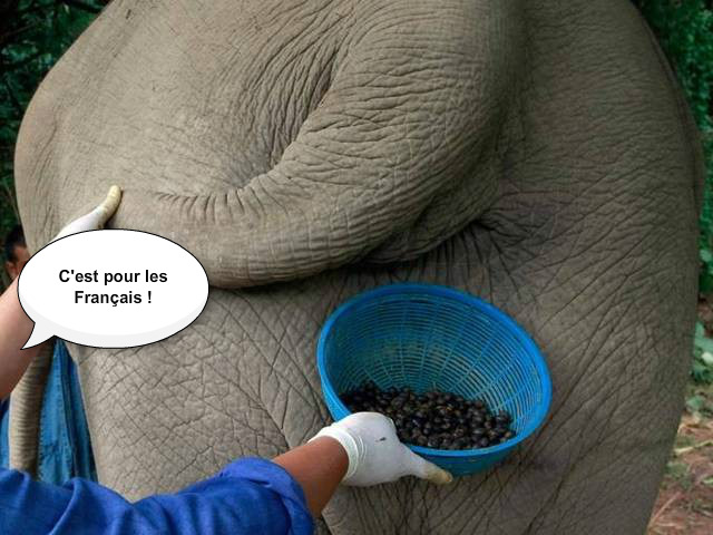 pizap.com14721825014711.jpg