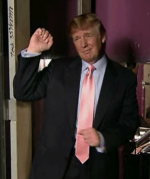 giphy04.gif