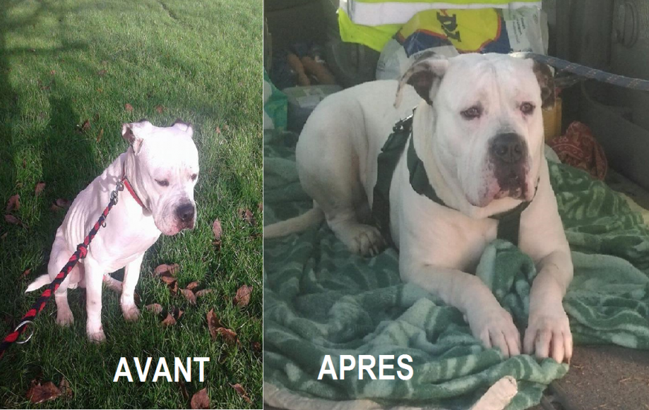 JYMON AVANT après.png