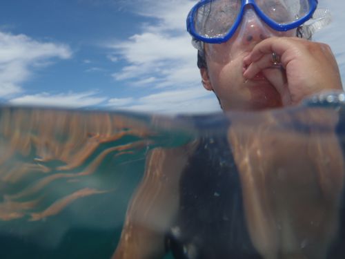 En pleins reajustement de masque et tuba, au beau milieu de... bhen, rien, la pleine mer :o)     Je suis comme un poisson dans l'eau!