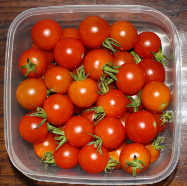 merci à la maman de Youssef pour ces bonnes tomates cerise du jardin