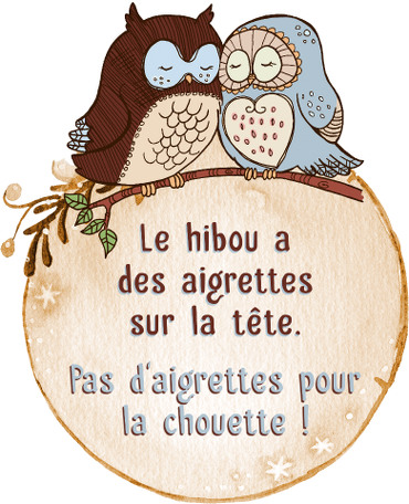 L?ami de la Chouette Une chanson sur le hibou et la chouette pour les GS.       https://youtu.be/LVKWCaCEpx8