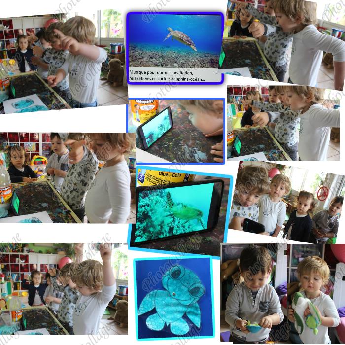 tortues des mers, peinture, musique et vidéo les enfants se sont amusés à faire les gestes des pates des tortues quand la tortue nage, animaux jouets