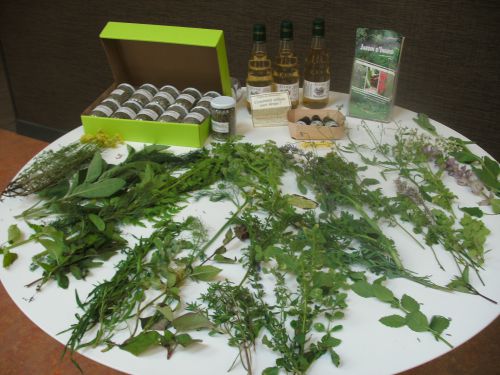 Atelier Découverte : les plantes aromatiques dans vos assiettes avec Ingrid Van Haalen de Coussances aux Bois 
