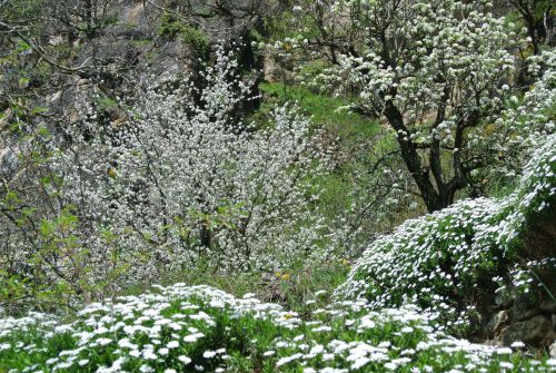 Mais on oublie pas le blanc de la neige