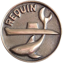 Requin.png