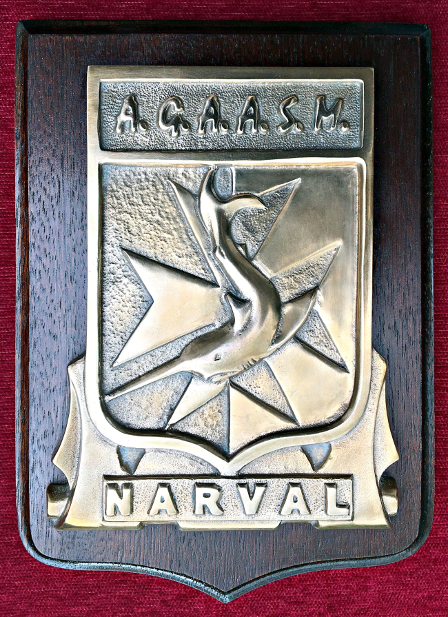 NARVAL - AGAASM