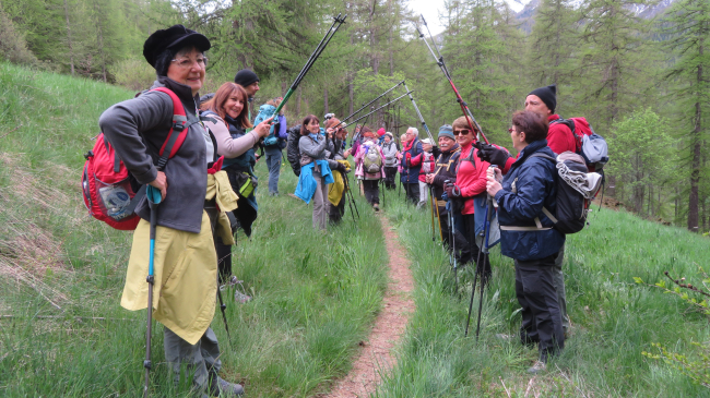 Le groupe des marmottes siffleuses ...