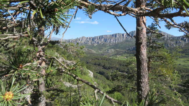 Vue sur le massif du Bauroux