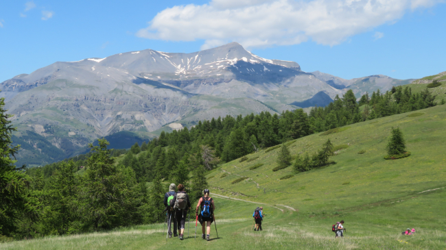 Vue sur le Mont Mounier