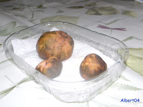 26 février Omelette aux truffes à IMOURANE (4)