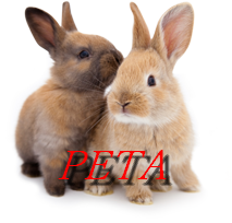 PETAFrance-bunnies.png