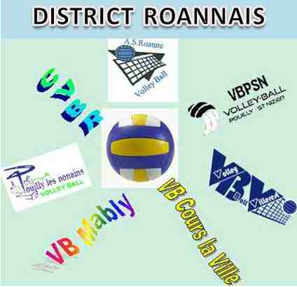 logo district roannais.jpg