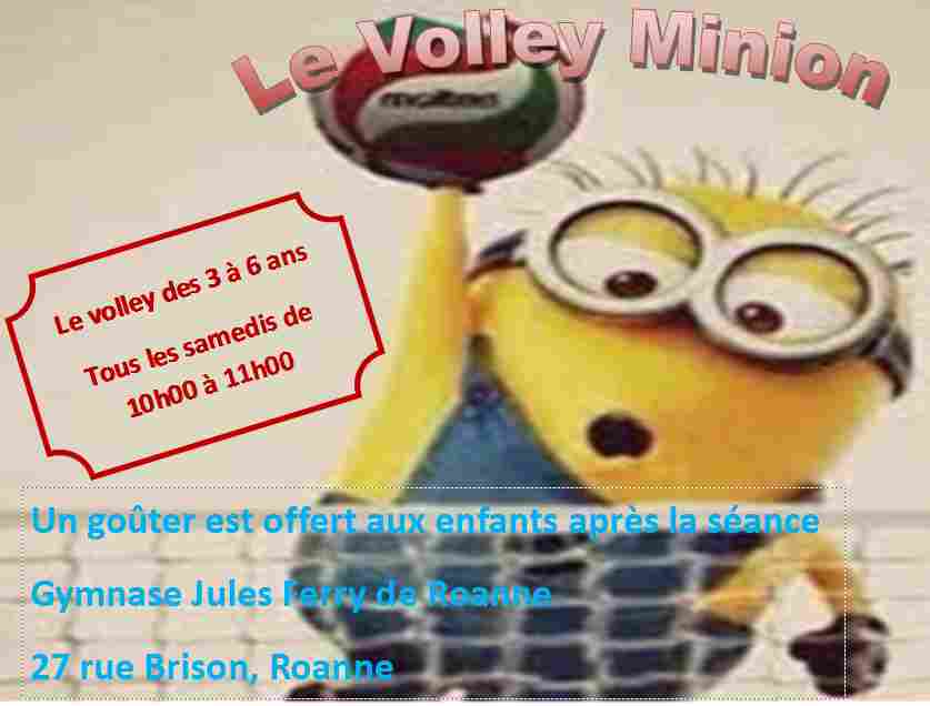 Volley Minion.jpg