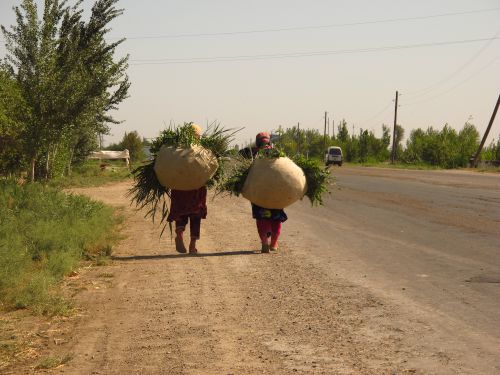 Tout a los en ouzbekistan