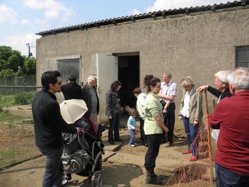 visite guidée volailles