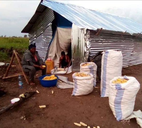 Securite alimentaire et developpement rural.jpg