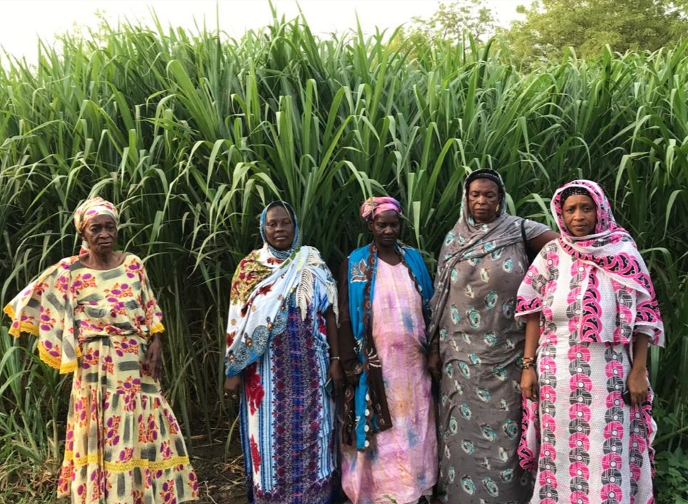 Senegal et resilience climatique.jpg