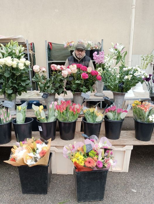 FRANCOIS COLOMBANI ET SES FLEURS DE FEVRIER 2024.jpg