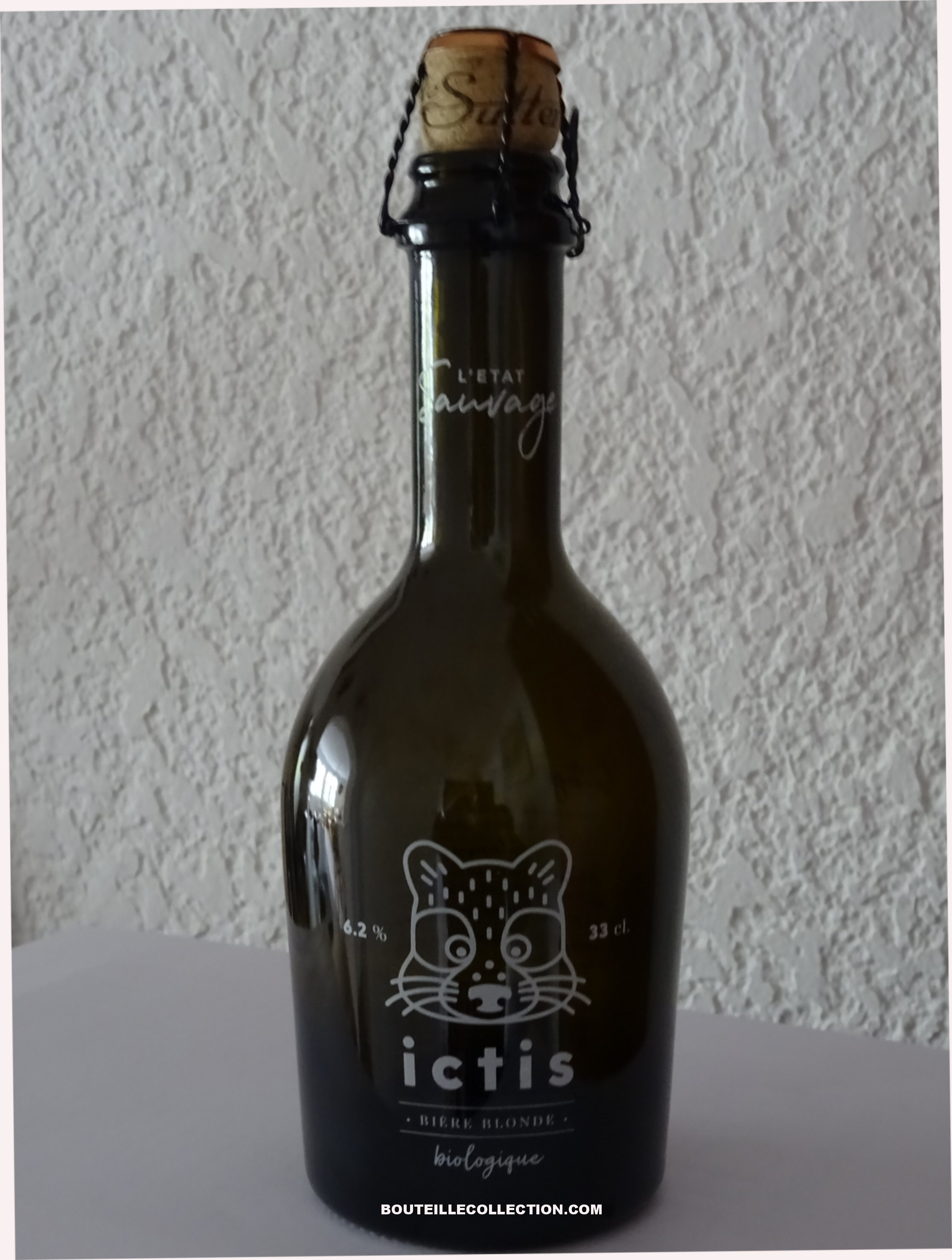 DE SULTER ICTIS 33CL B  OK .JPG