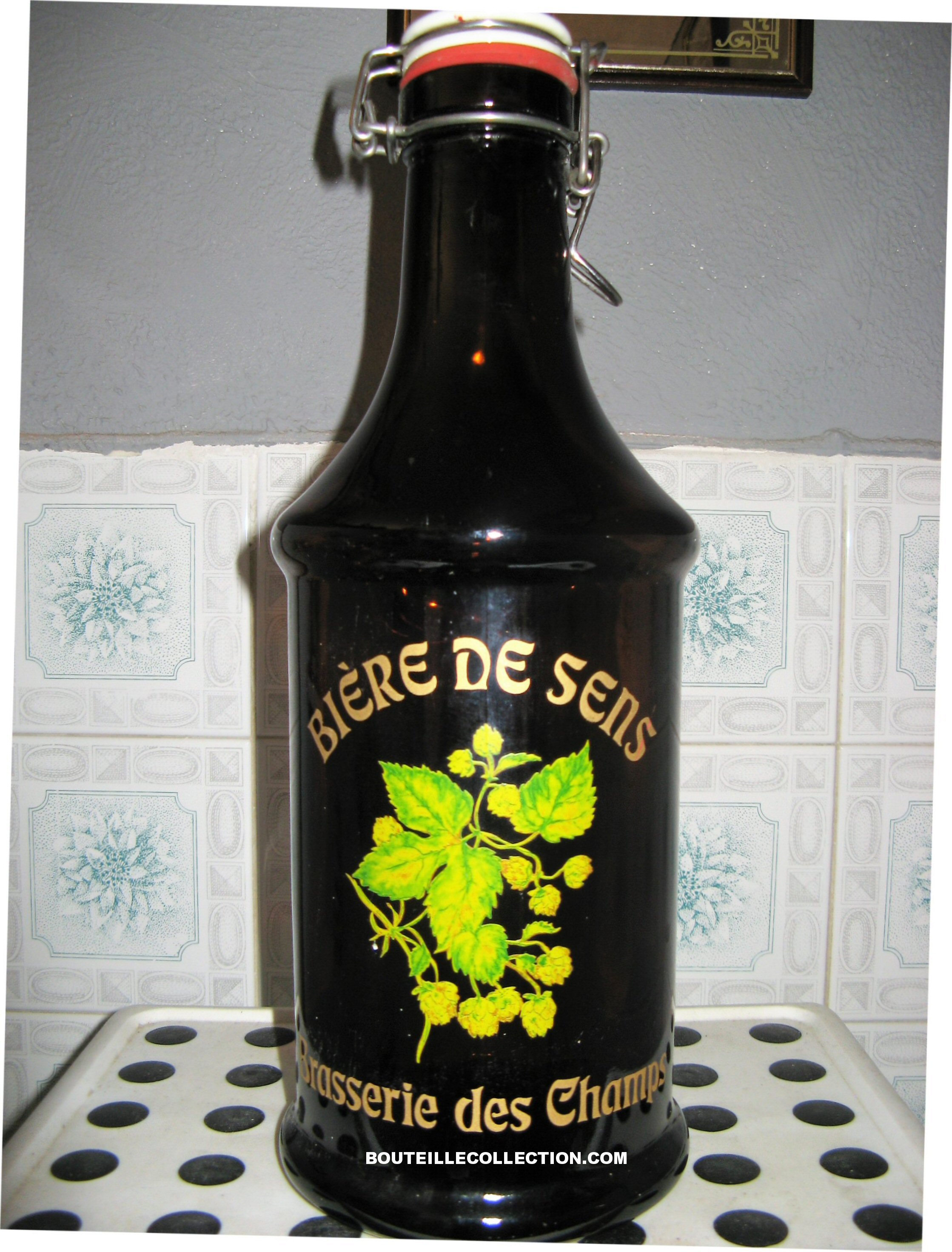 BRASSERIE DES CHAMPS 1997 2L B .JPG