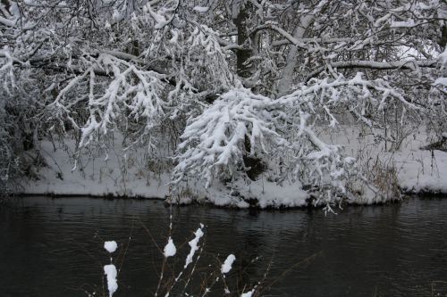 Décembre 2010, La Roche Plate 03