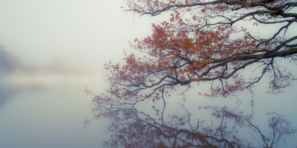 Instants de Lumière - Philippe Isabey photographies