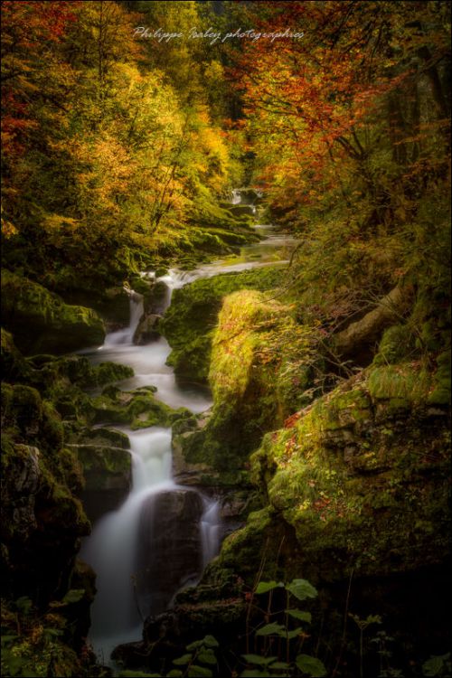 Et au milieu coule un torrent