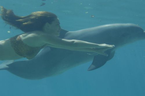 Cléo et le dauphin