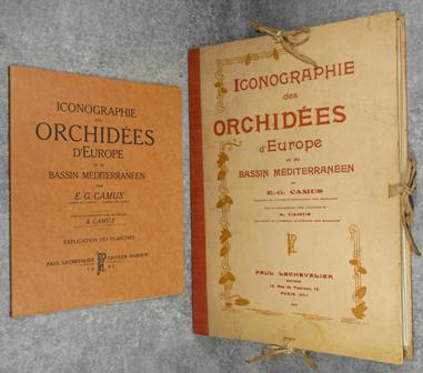 E.-G. Camus - Iconographie des orchidées d'Europe et du bassin Méditerranéen (Planches et explication).jpg