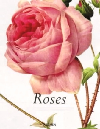 Redoute - Roses.jpg