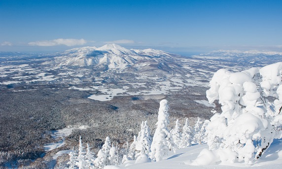 niseko.jpg