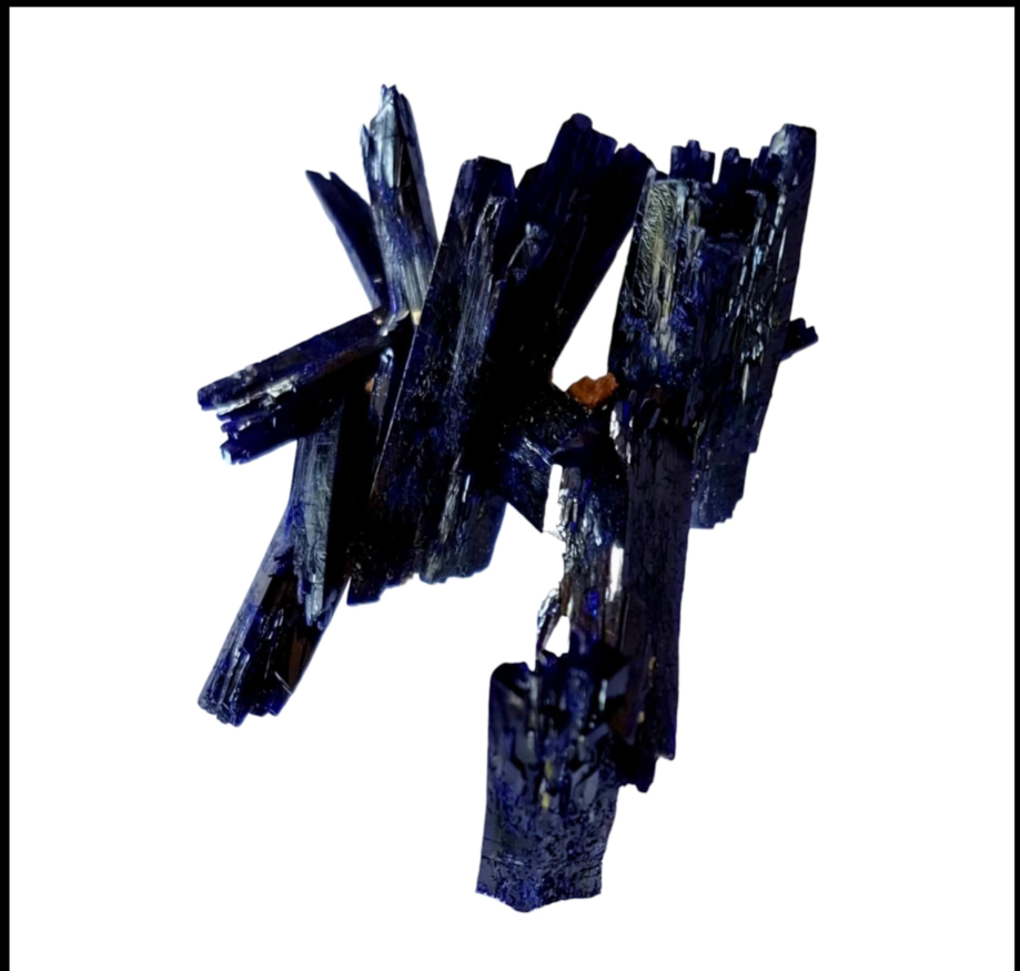 1000018295