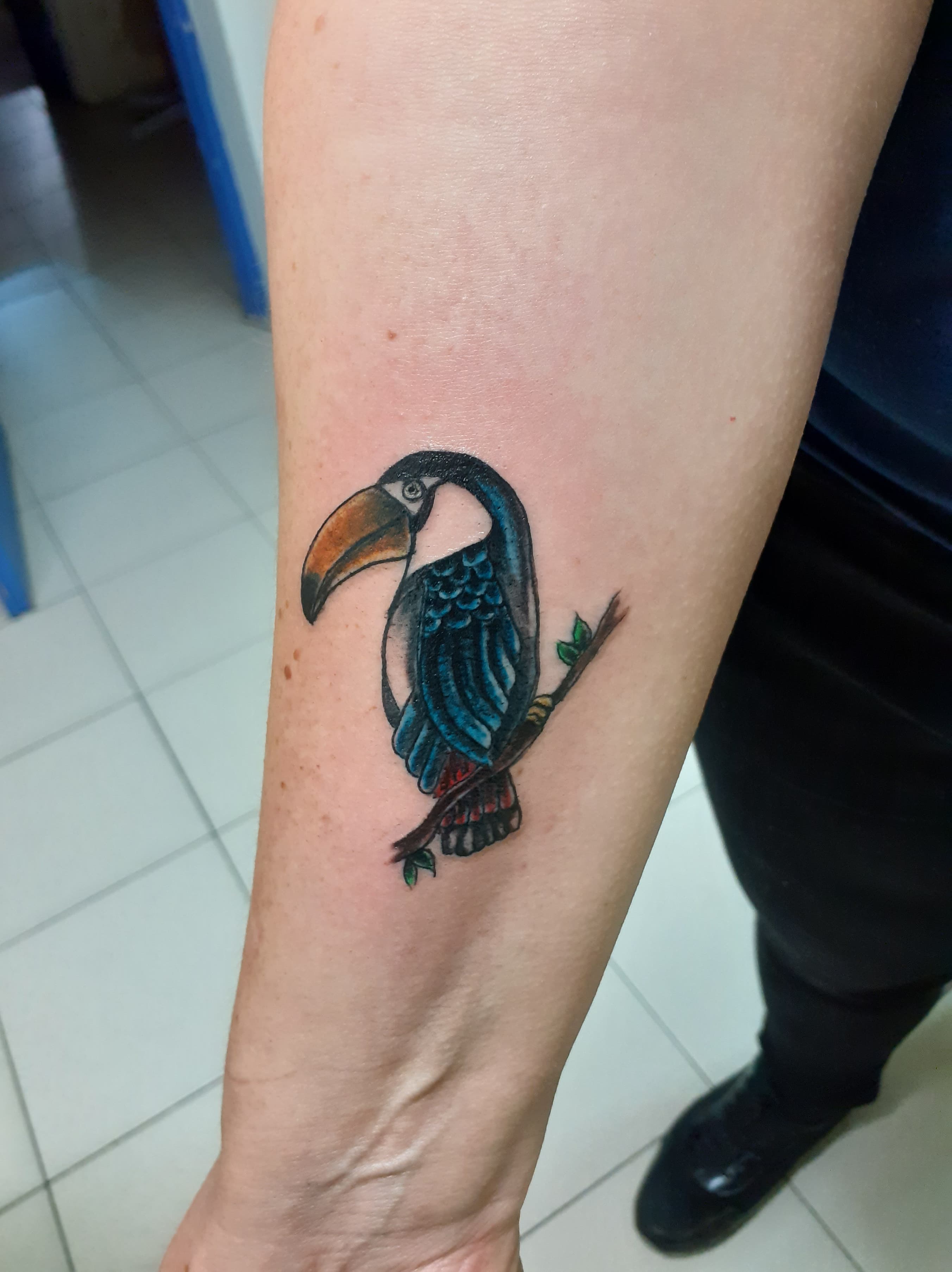 Tattoo toucan 1.jpg