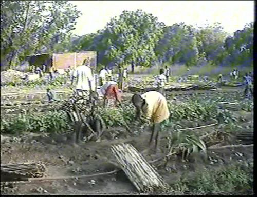 Apprentissage du jardinage en 6°