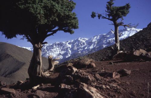 Les montagne de l Atlas