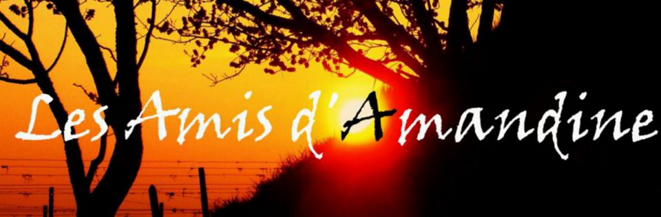 Les Amis d\'Amandine