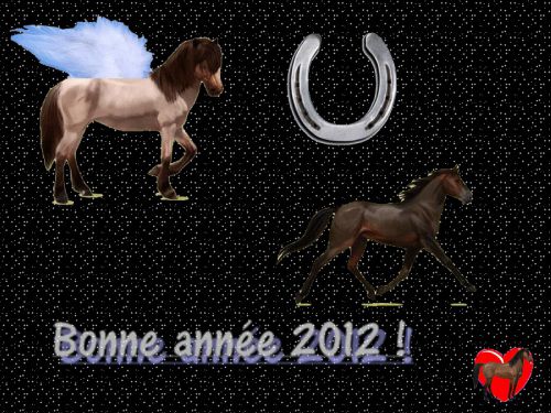 Bonne Année 2012 ! 