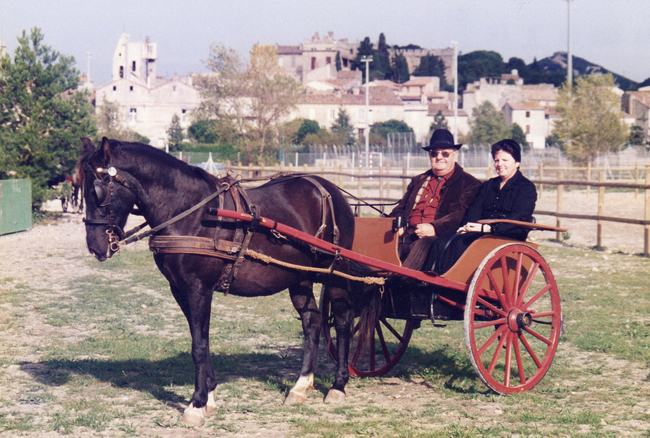 Pierre Ramel Saint-Martin 1995 et son cheval Chocolat 650 px.jpg